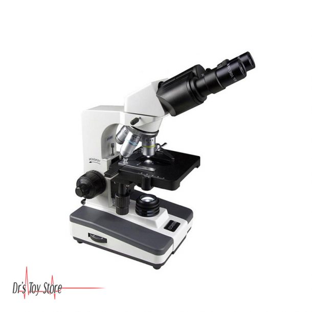 Nikon Alphaphot2 YS2T Binocular Microscope for sale at Dr's Toy Store