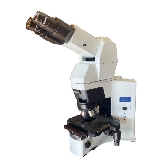 Olympus BX45 Microscope