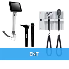 Ent